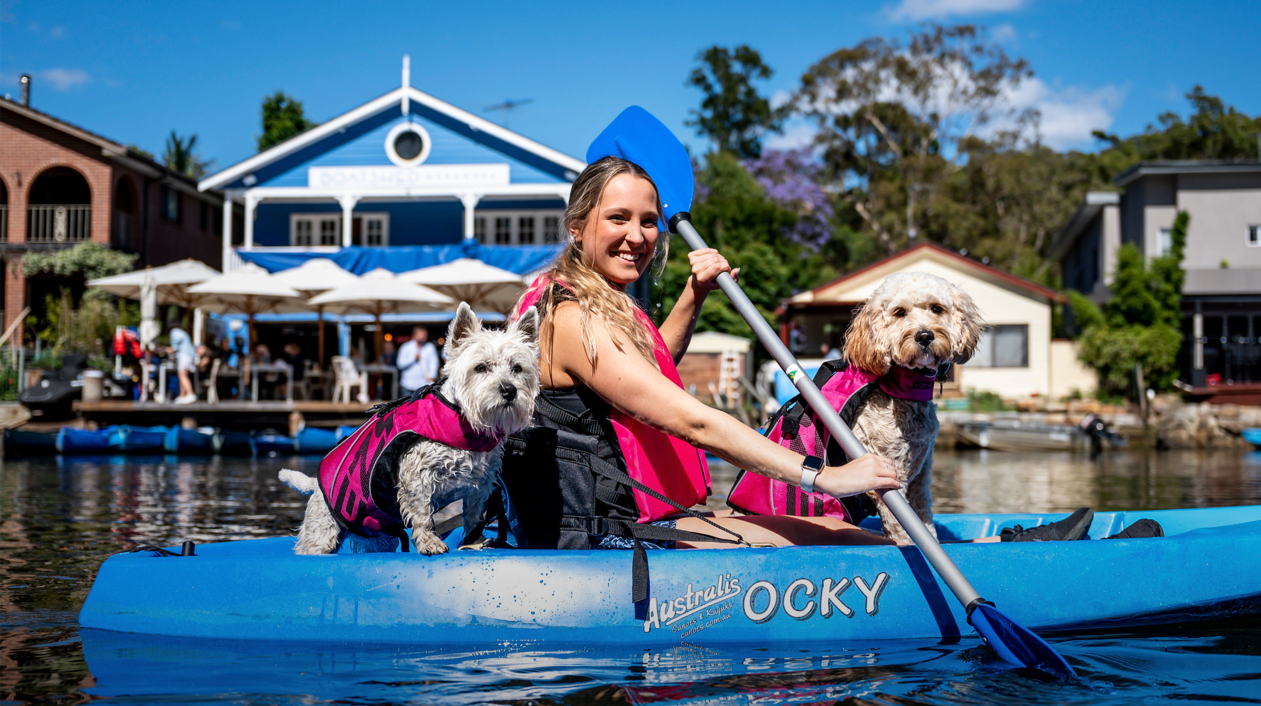 DLR Photo - Dog Life Jackets Product Photography